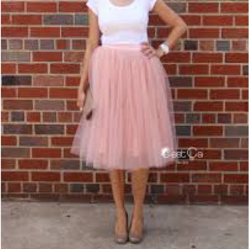 Chelsea (from Honey) lined tulle midi skirt N15